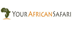 Your African Safari