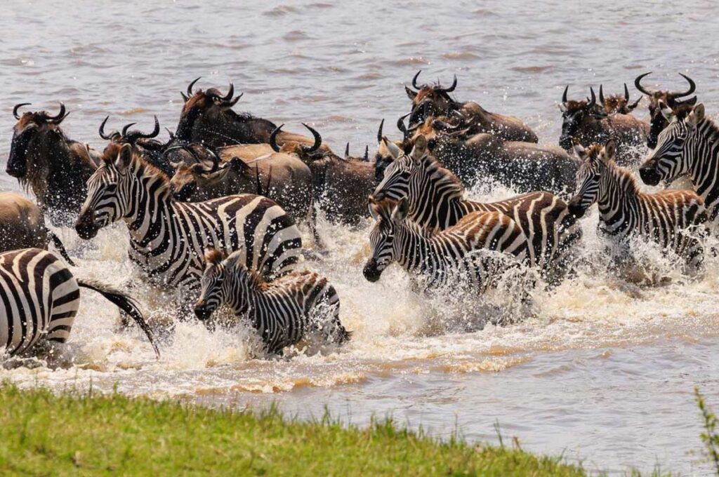 11 Days Tanzania Cultural and Wildlife Adventures