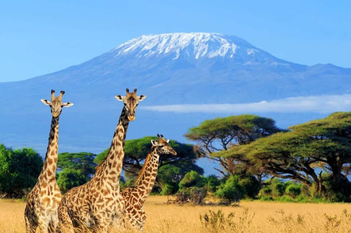 8 days Tanzania cultural and hiking tour