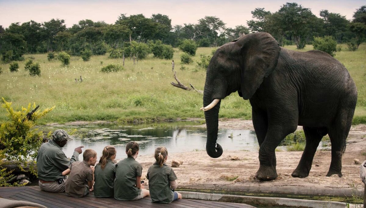 14 Days Tanzania Luxury Family Safari