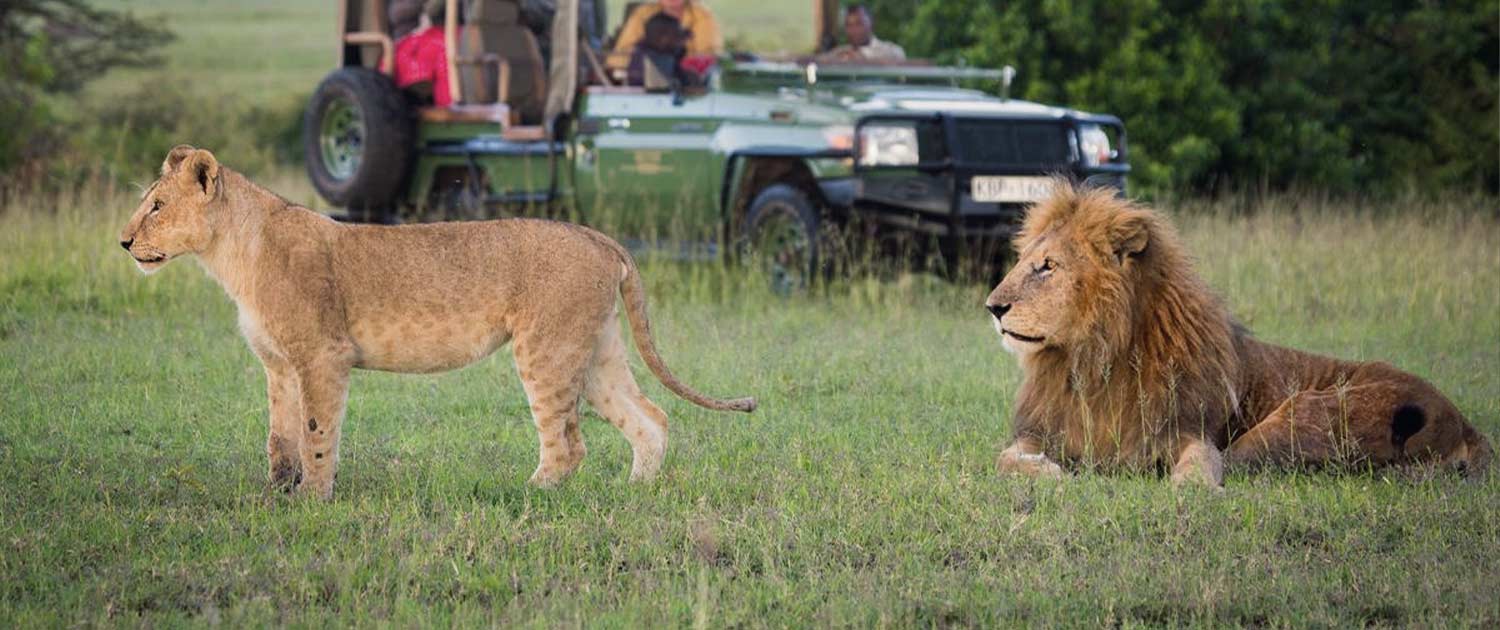 Kenya and Tanzania Safari