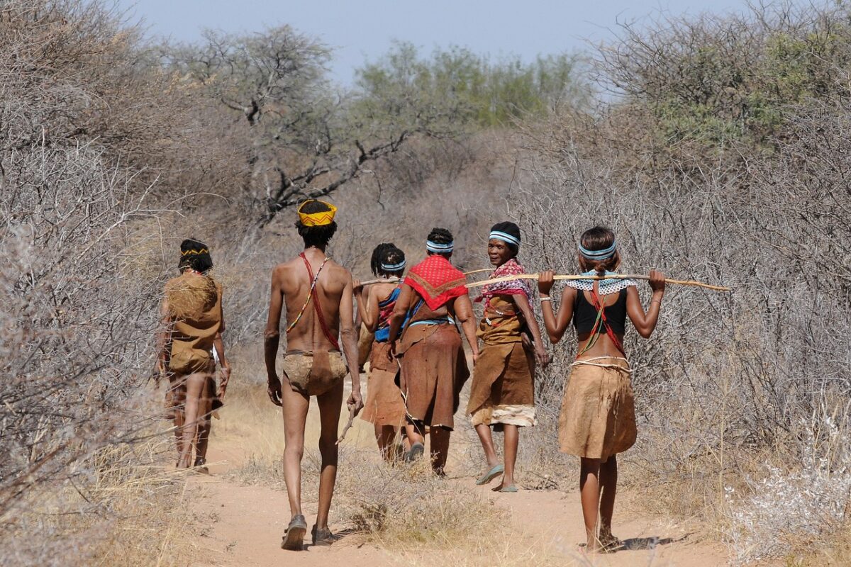 Botswana and Victoria Falls Honeymoon Safari-7 Days fly-in