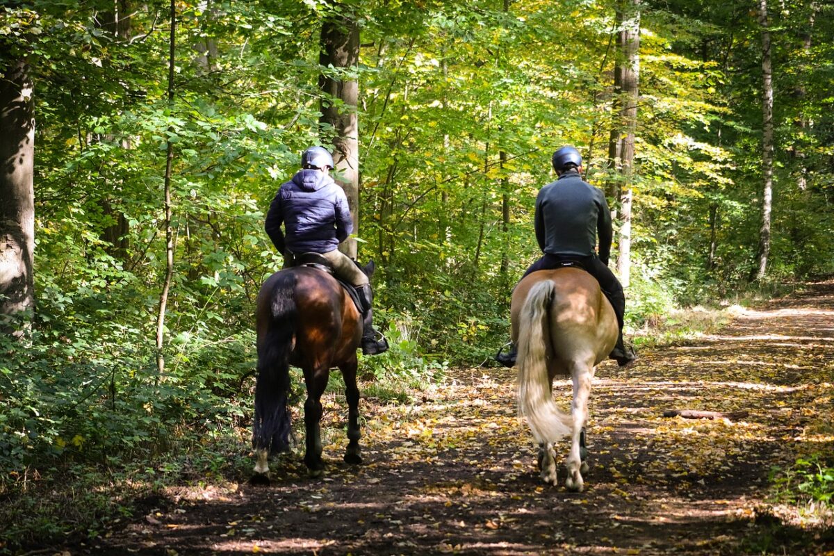HORSEBACK RIDING IN ARUSHA