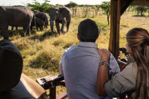 Tanzania Safari Tours