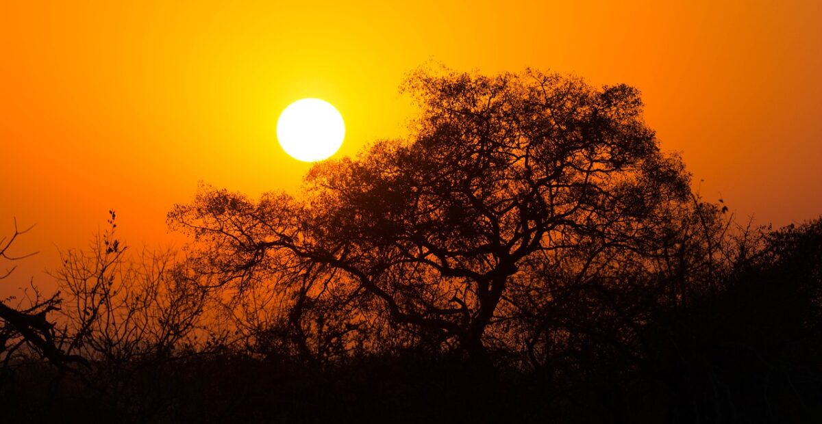 5 Days Kruger National Park Safaris