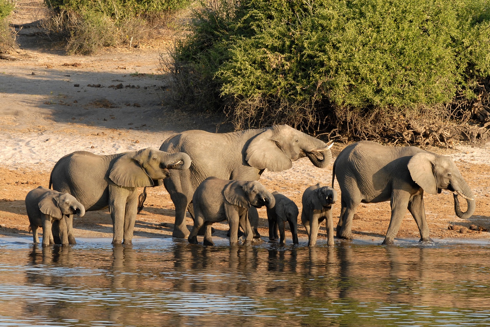 Botswana Tours