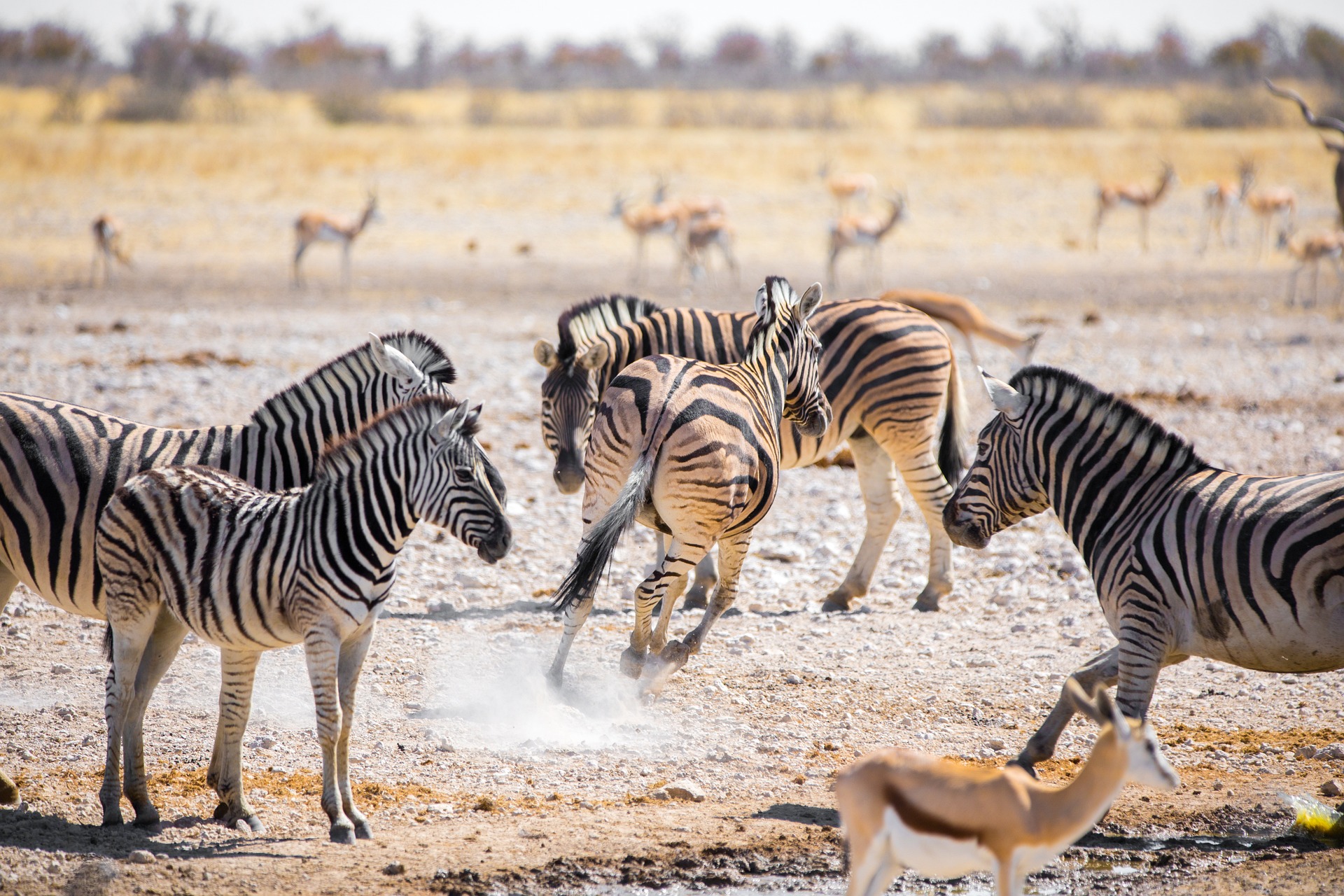 Namibia Tours