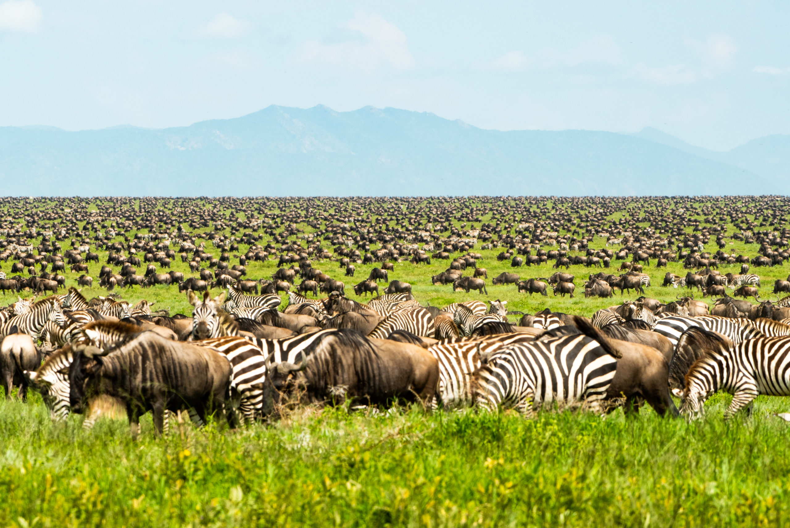 Photographic Safari in Tanzania