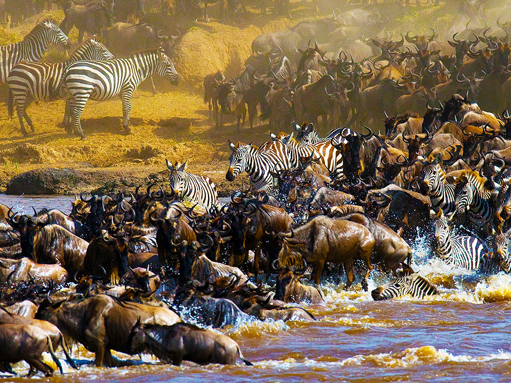 Tanzania Big Five and Migration Safari