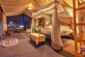 Accommodation 9 -Day Tanzania Big Five and Migration Safari